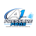 A1